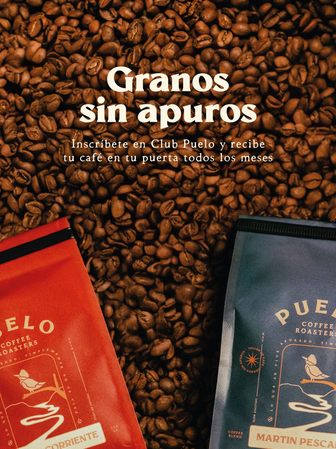 Puelo Specialty Coffee Bar photo 7
