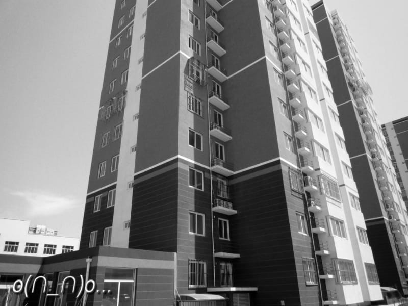 Luckin photo 2