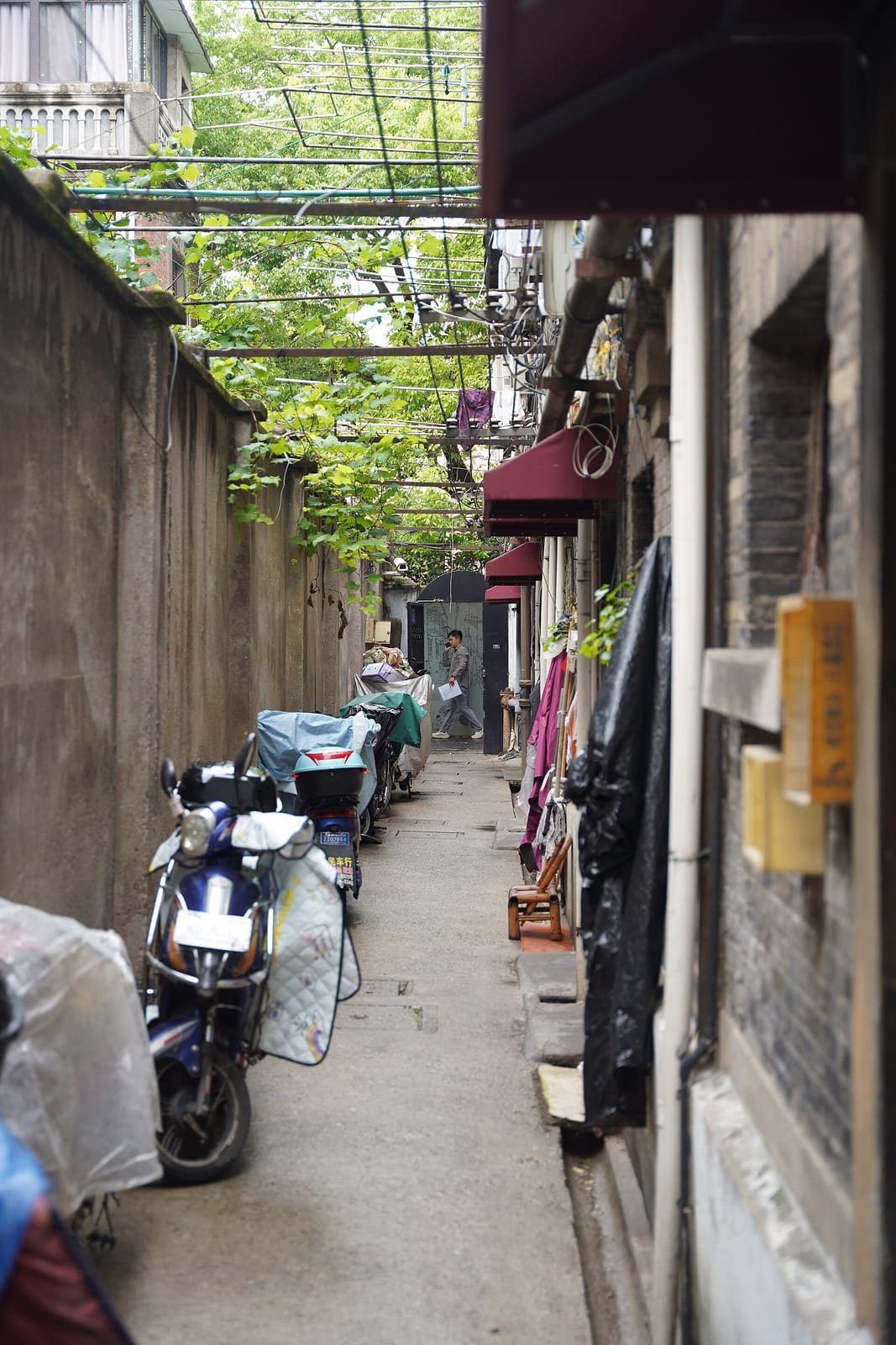 Café Dan photo 3