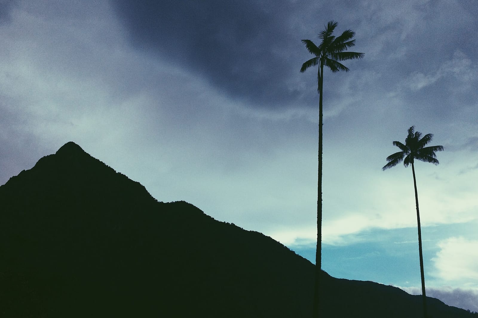 Delicias Cocora photo 2