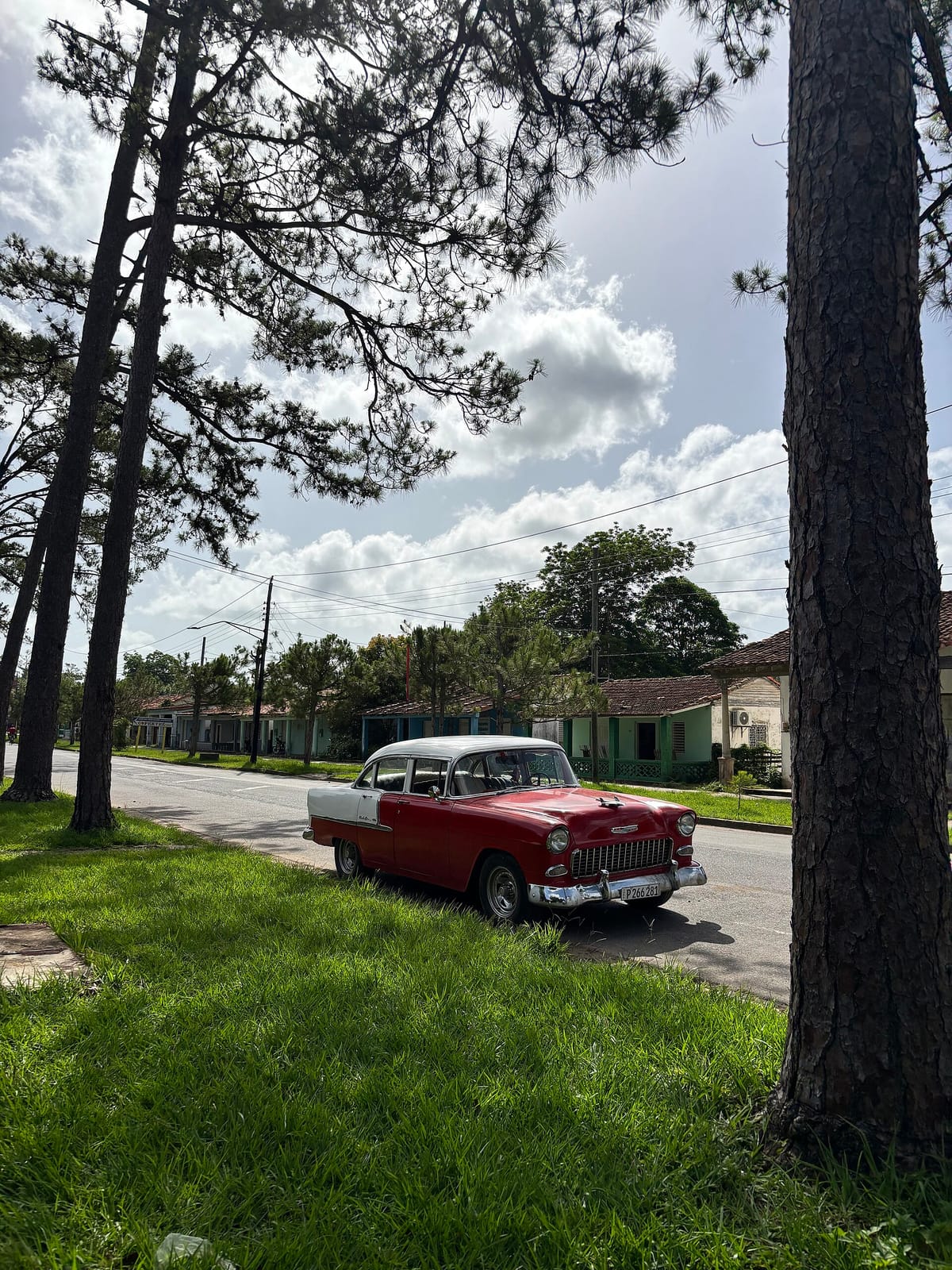 La Rápida photo 2
