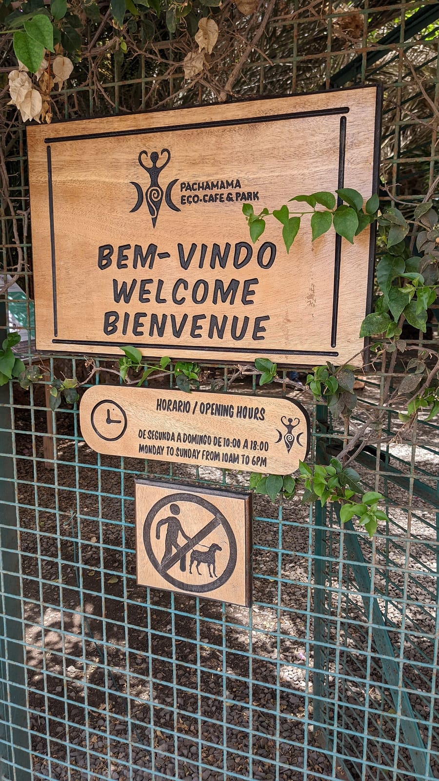 Pachamama Eco Café photo 3