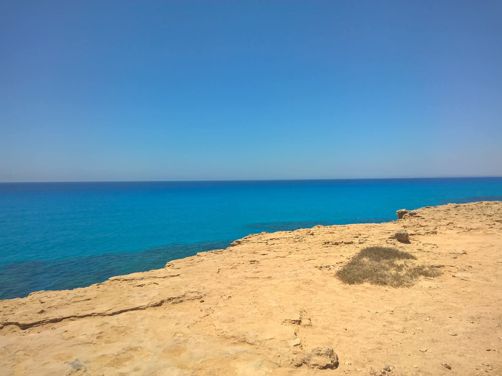 South Coast photo 3