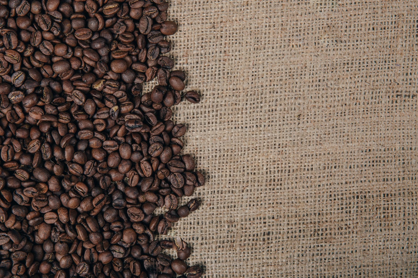 Beanhaus Coffee Roasters photo 6
