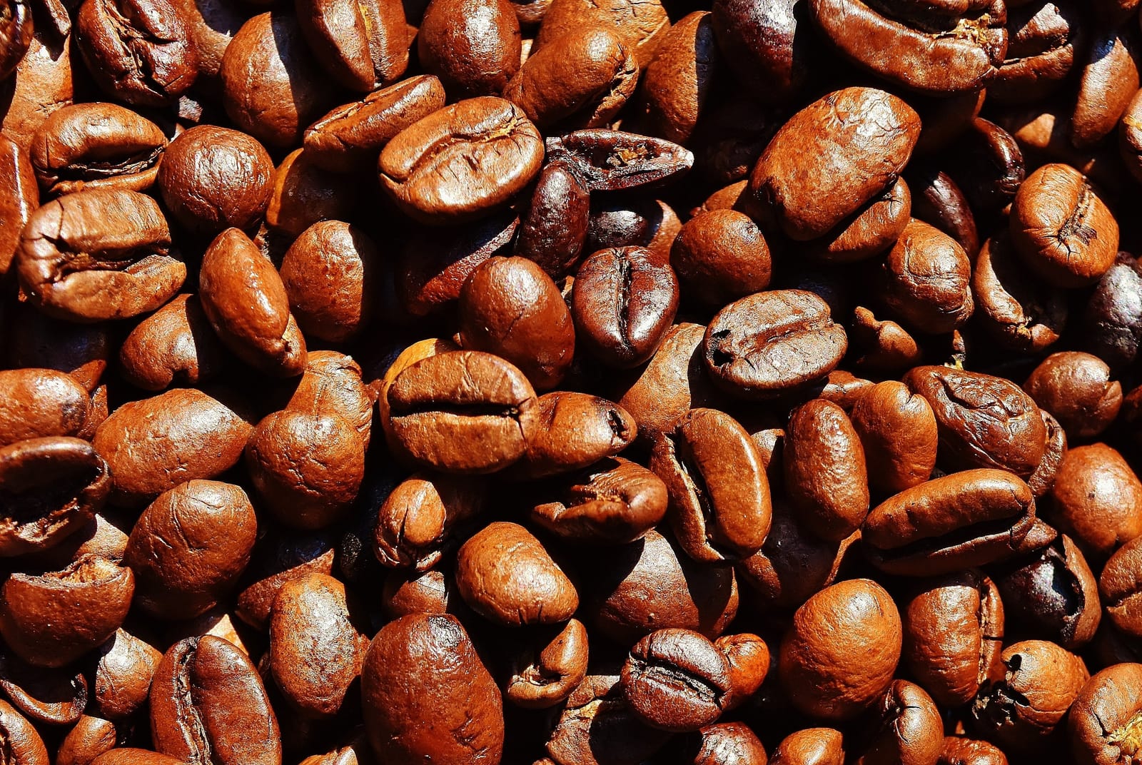 Beanhaus Coffee Roasters photo 3
