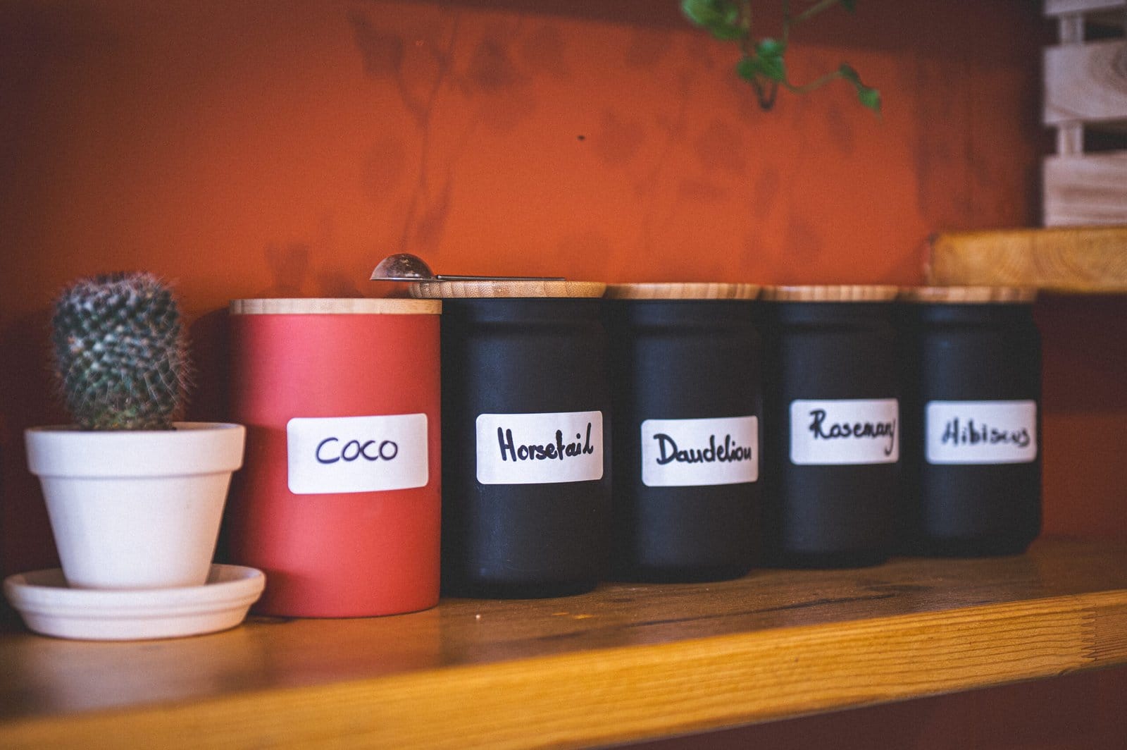 Gallus Coffee Brew photo 6