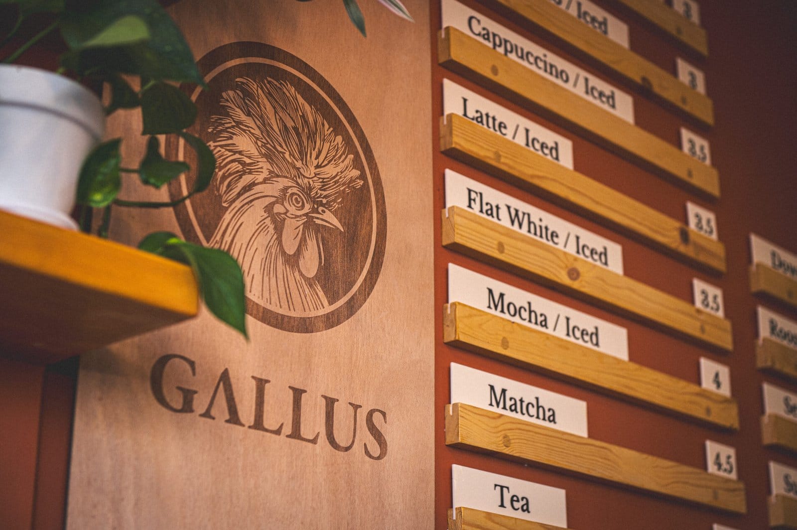 Gallus Coffee Brew photo 4