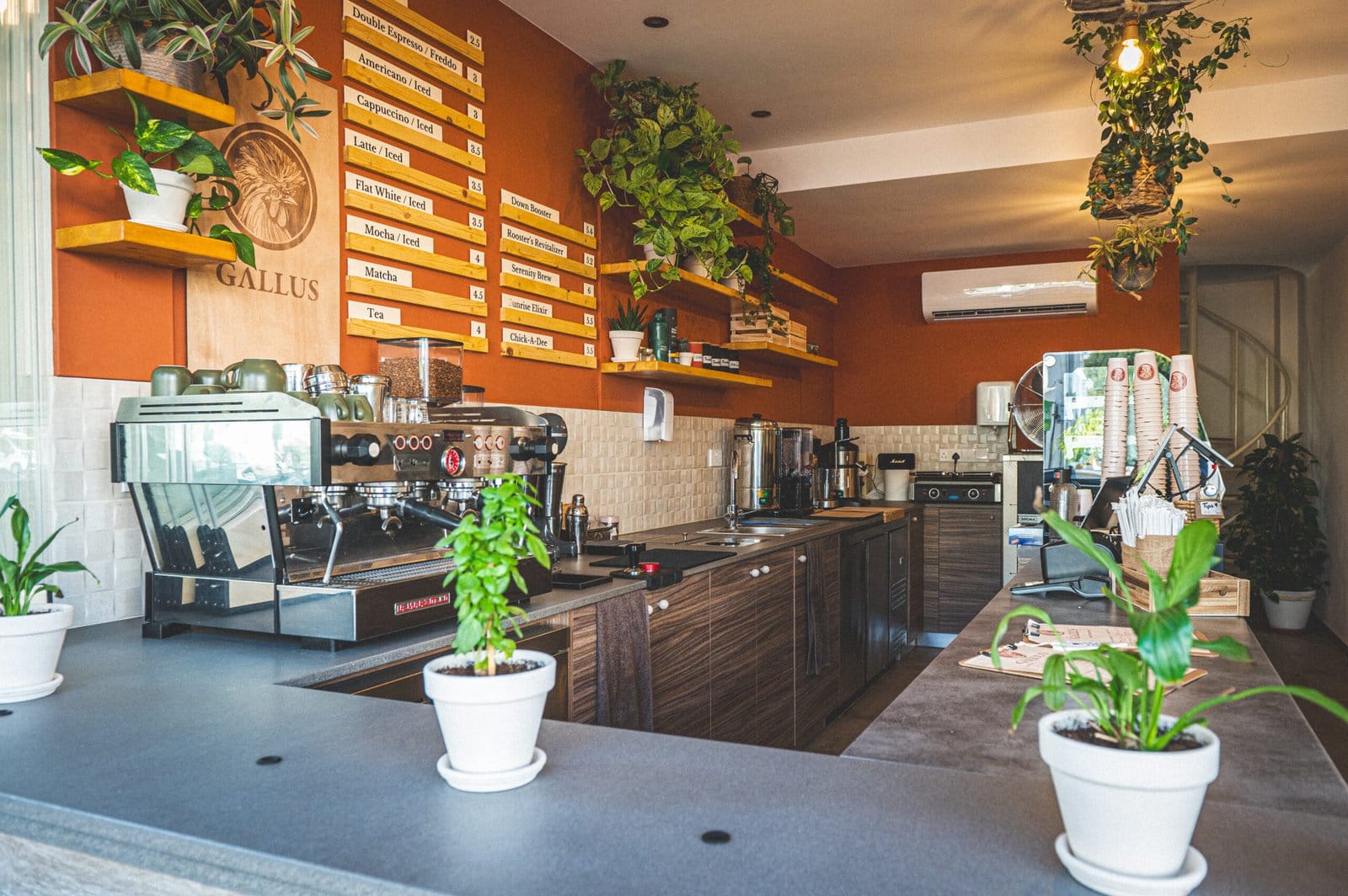 Gallus Coffee Brew photo 7