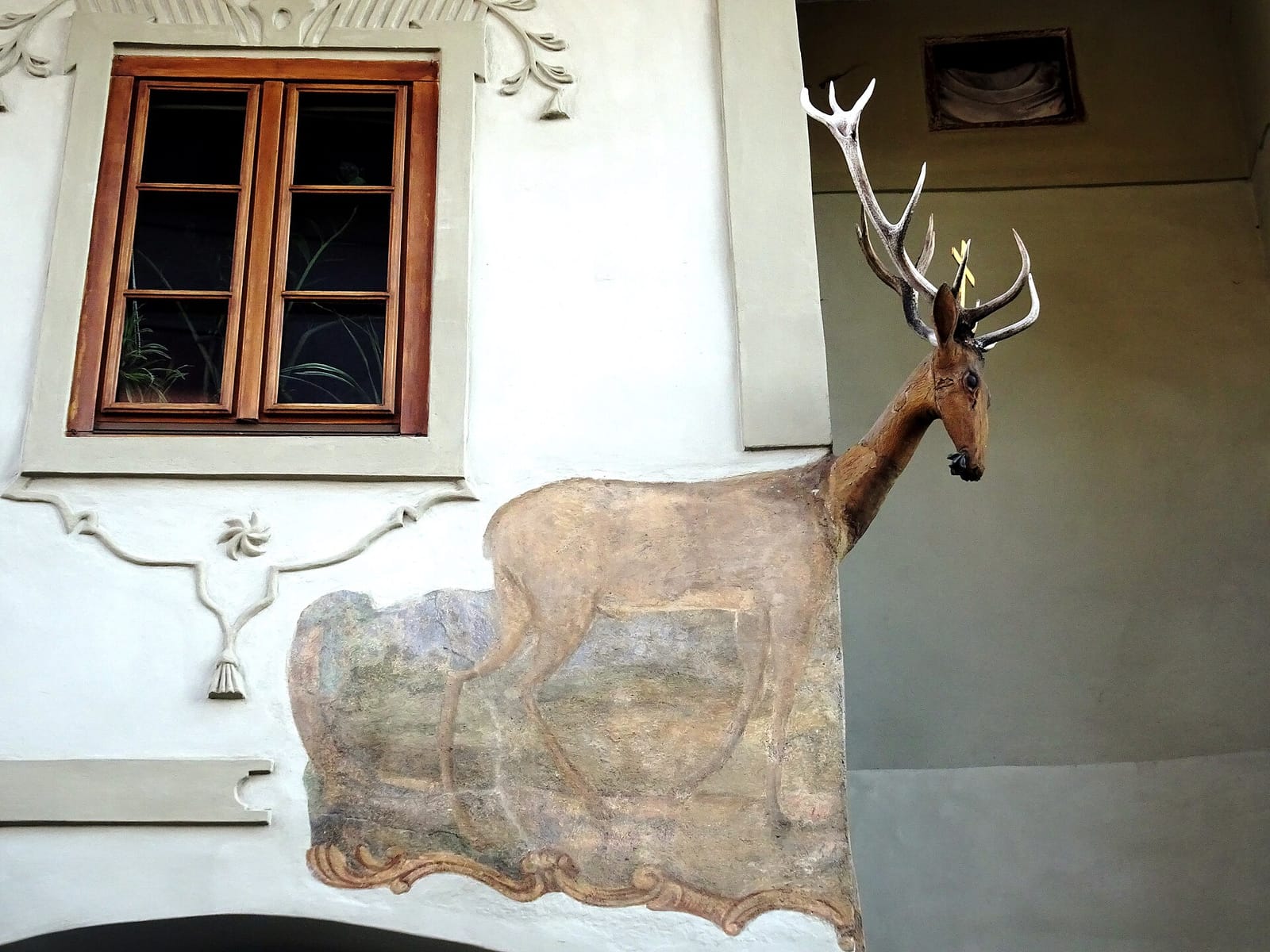 Kavárna ve skále photo 3
