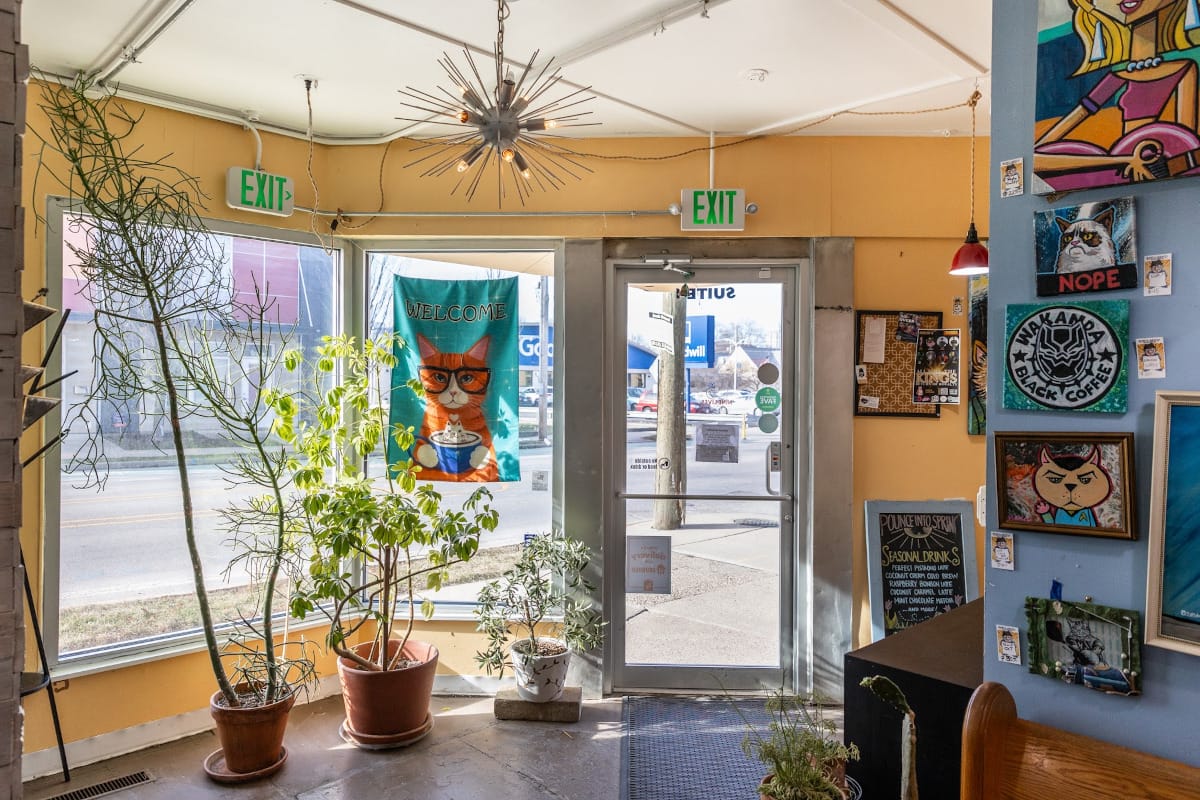 Nine Lives Cat Cafe photo 2