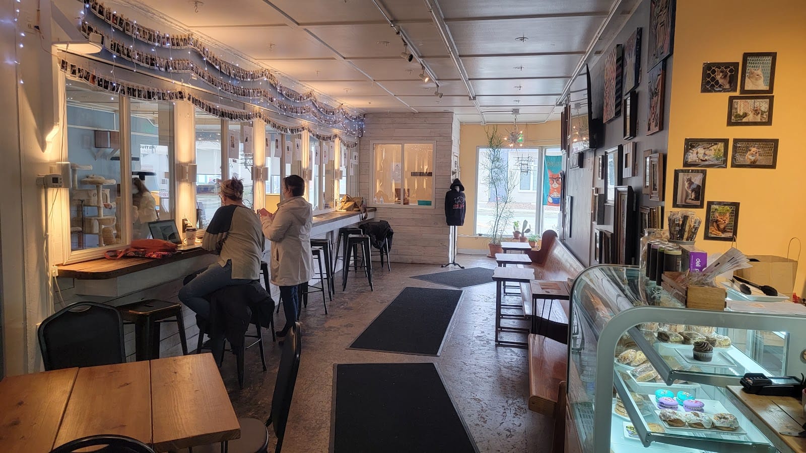 Nine Lives Cat Cafe