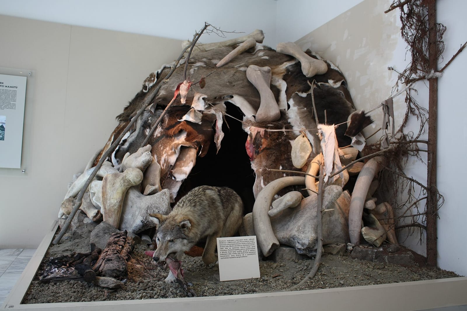 Moravské muzeum - Pavilon Anthropos photo 2