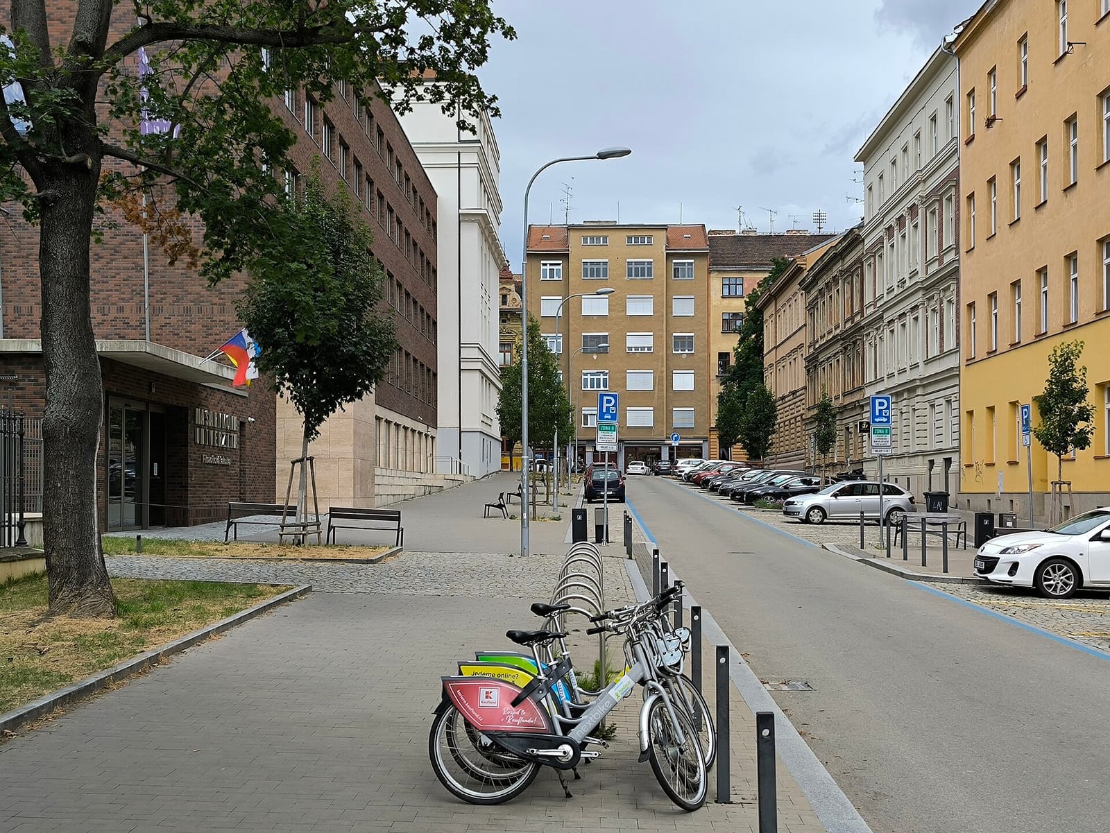 Café Falk photo 3