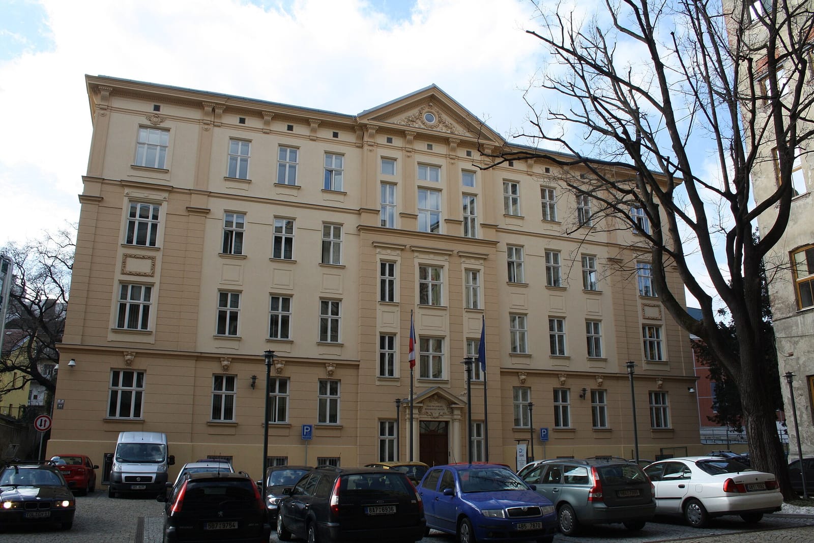 Kočičí kavárna Pelíšek photo 5