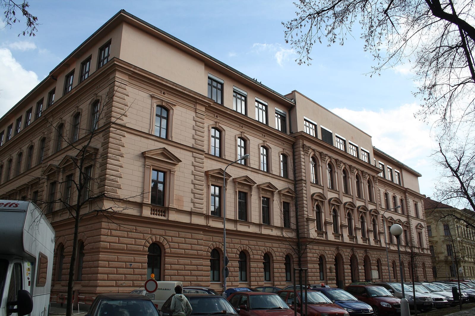 Kočičí kavárna Pelíšek photo 3