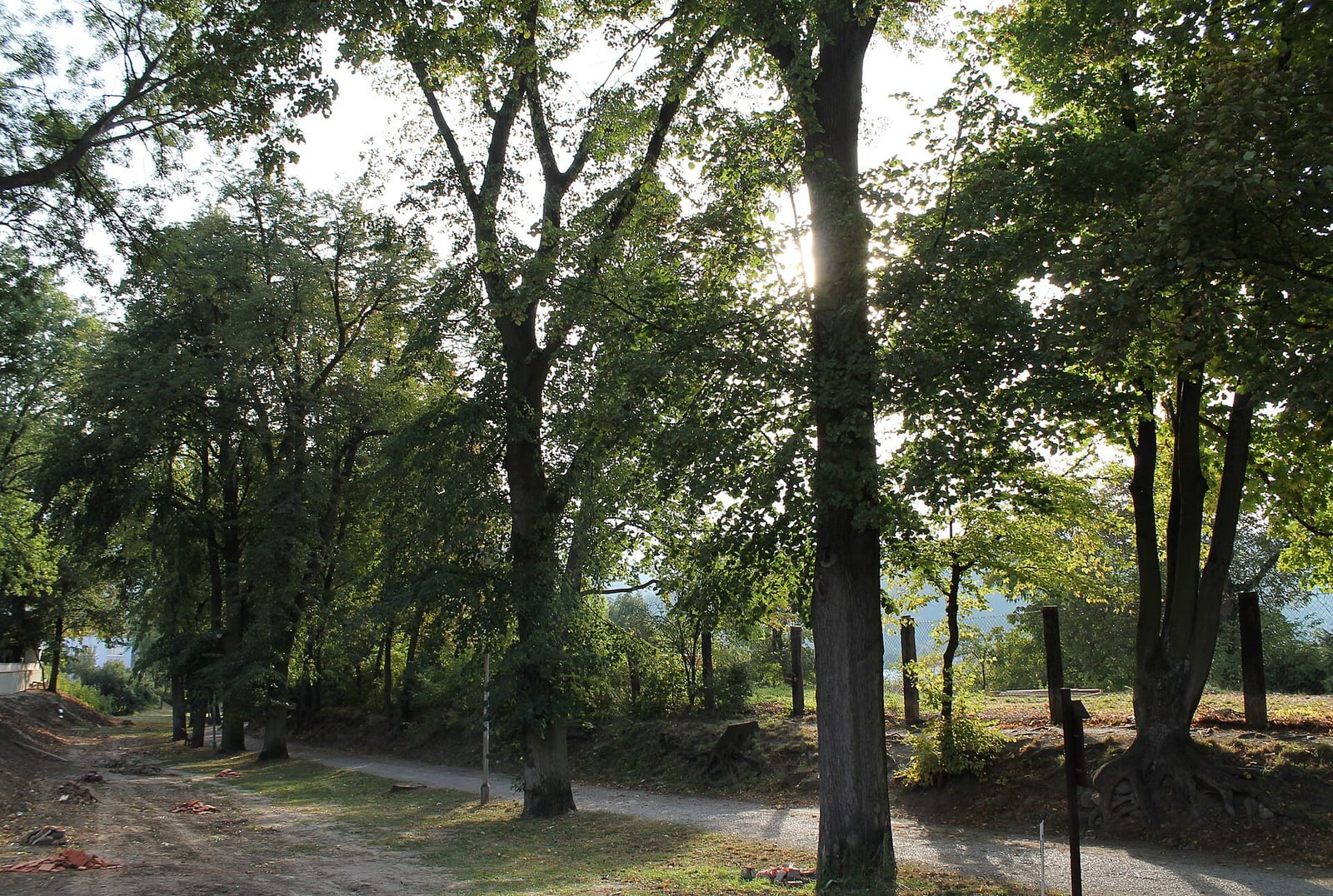 Občerstvení Pohoda photo 4
