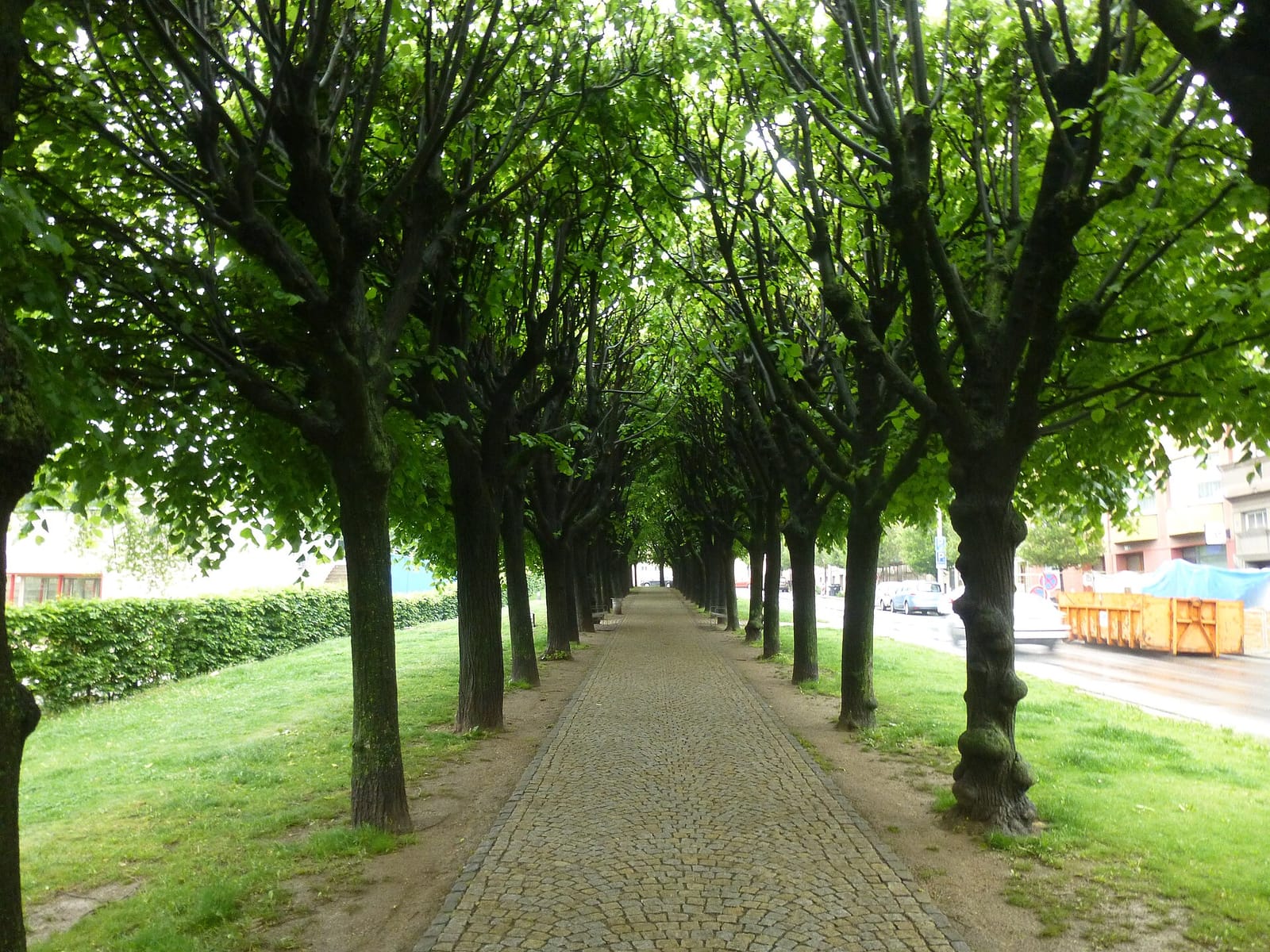 CAFFE PARK Slovaňák
