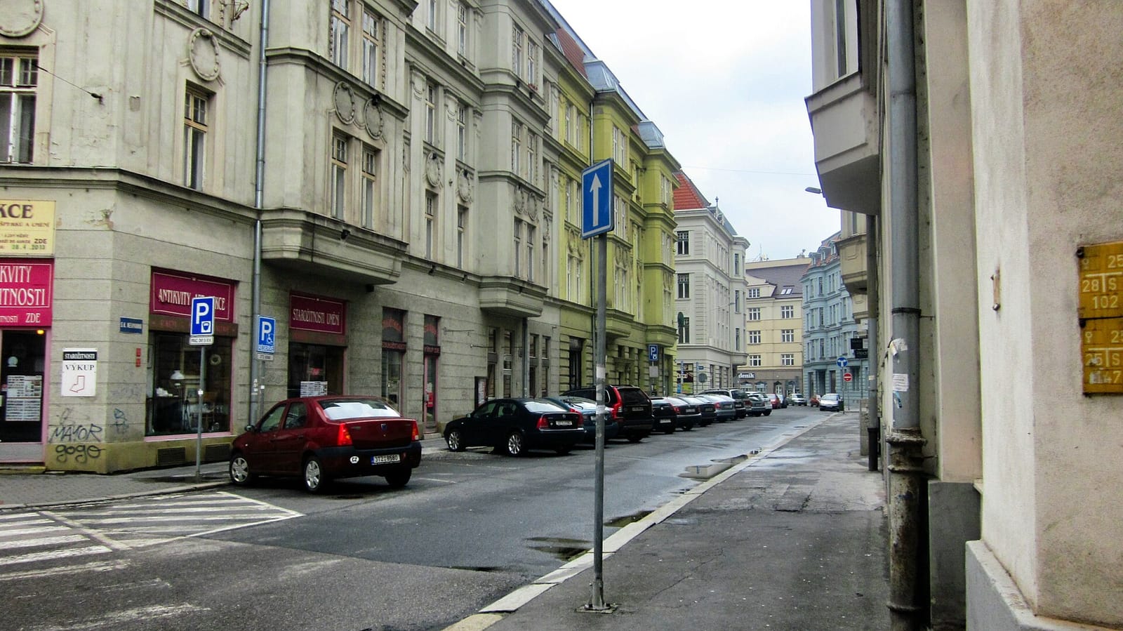 Čerstvý boby photo 4