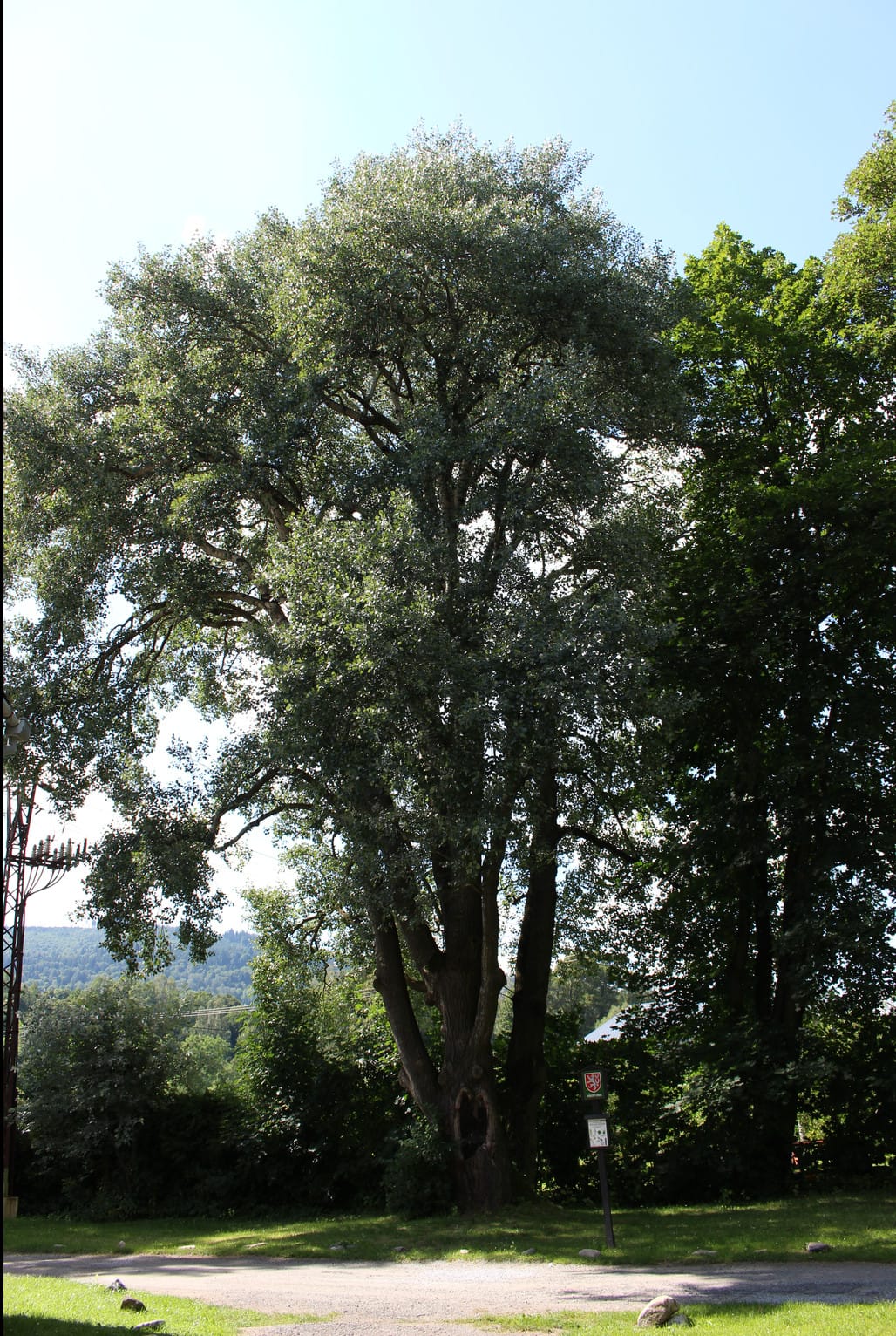 Stop Cafe