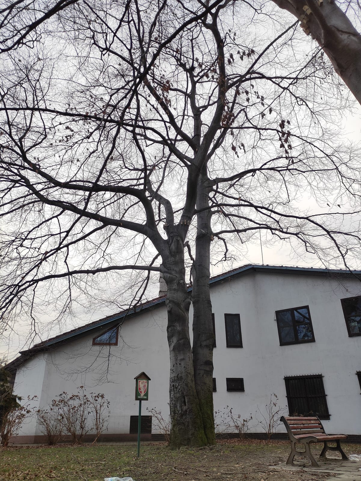 Torg Coffee photo 3