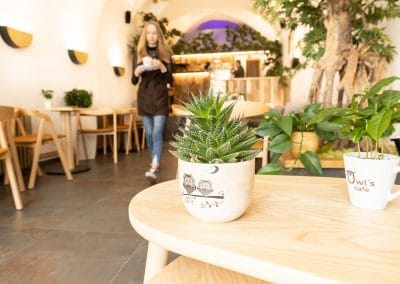 Owl´s cafe photo 8
