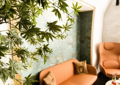 Owl´s cafe photo 6