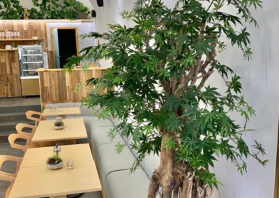 Owl´s cafe photo 3
