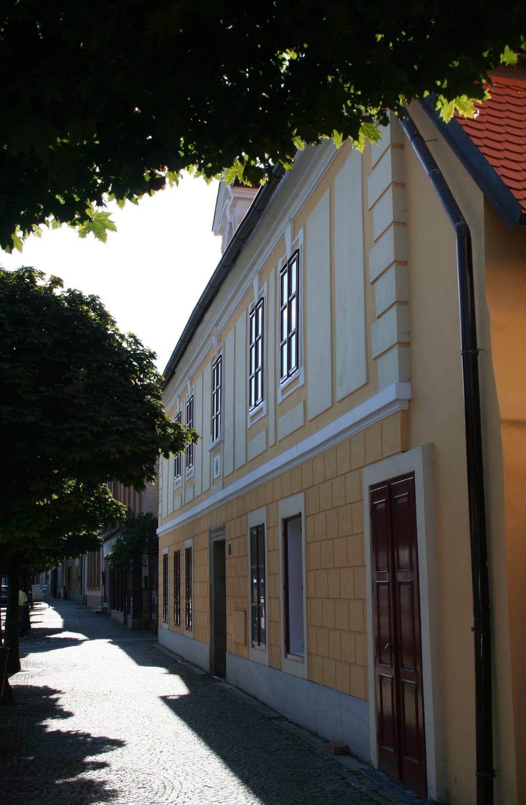 Kino kavárna photo 4