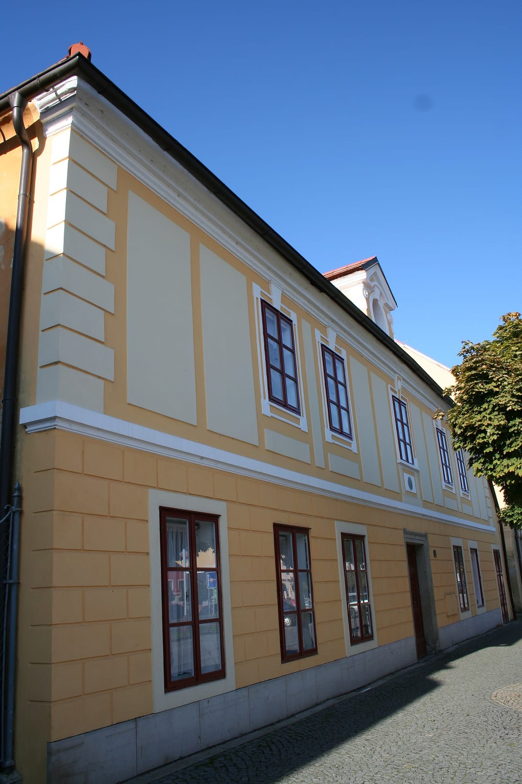 Kino kavárna photo 3