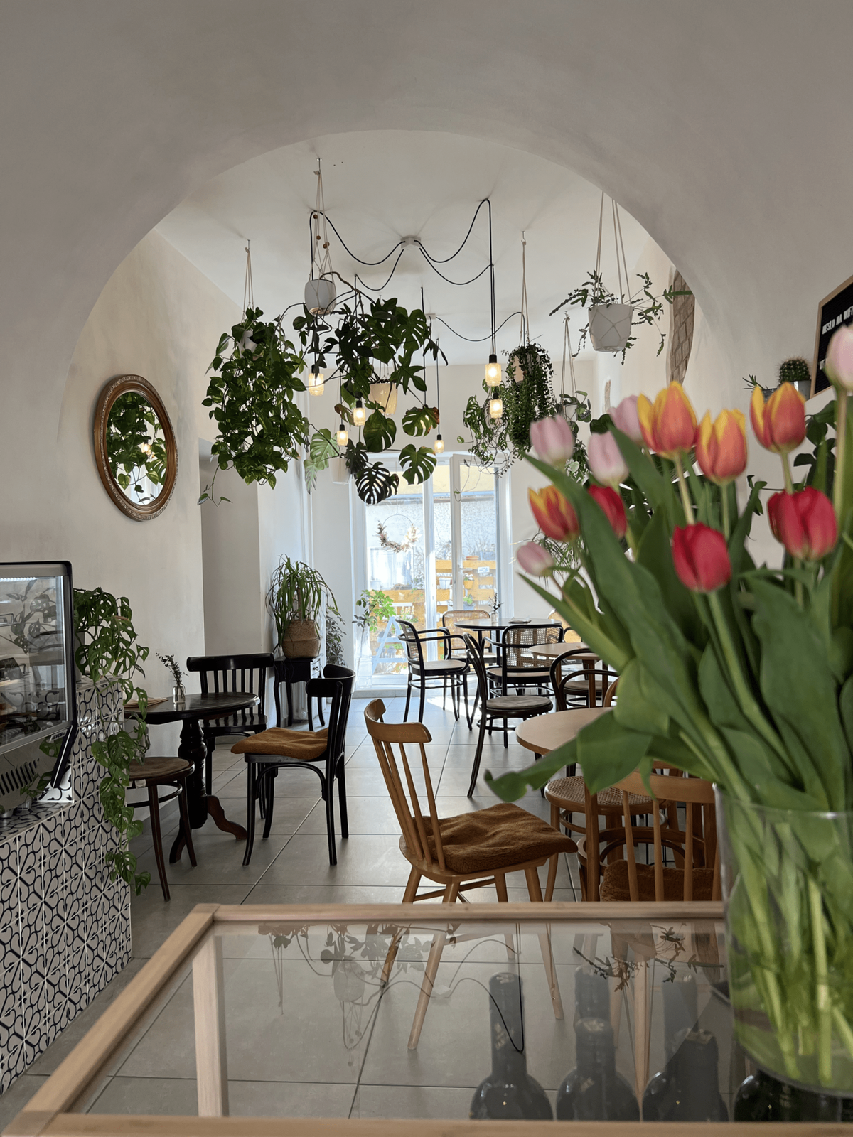 Kafe, víno, kokino photo 3