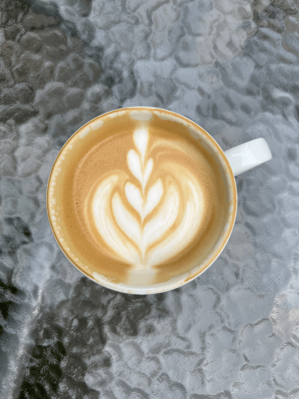 Kafe, víno, kokino