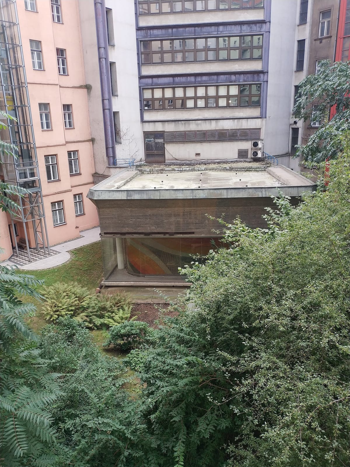 Locál photo 5