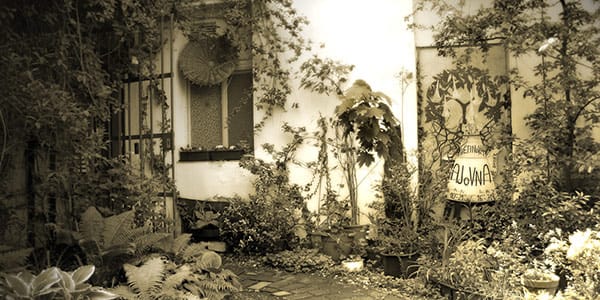 Květinová čajovna