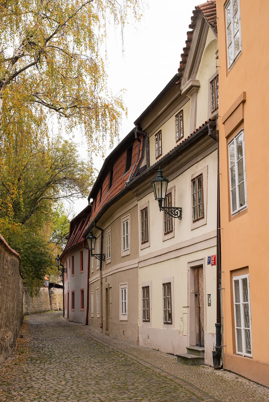 Nový svět photo 4