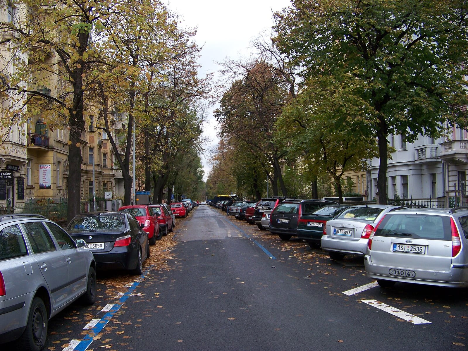 Kavárna pod Lipami photo 5