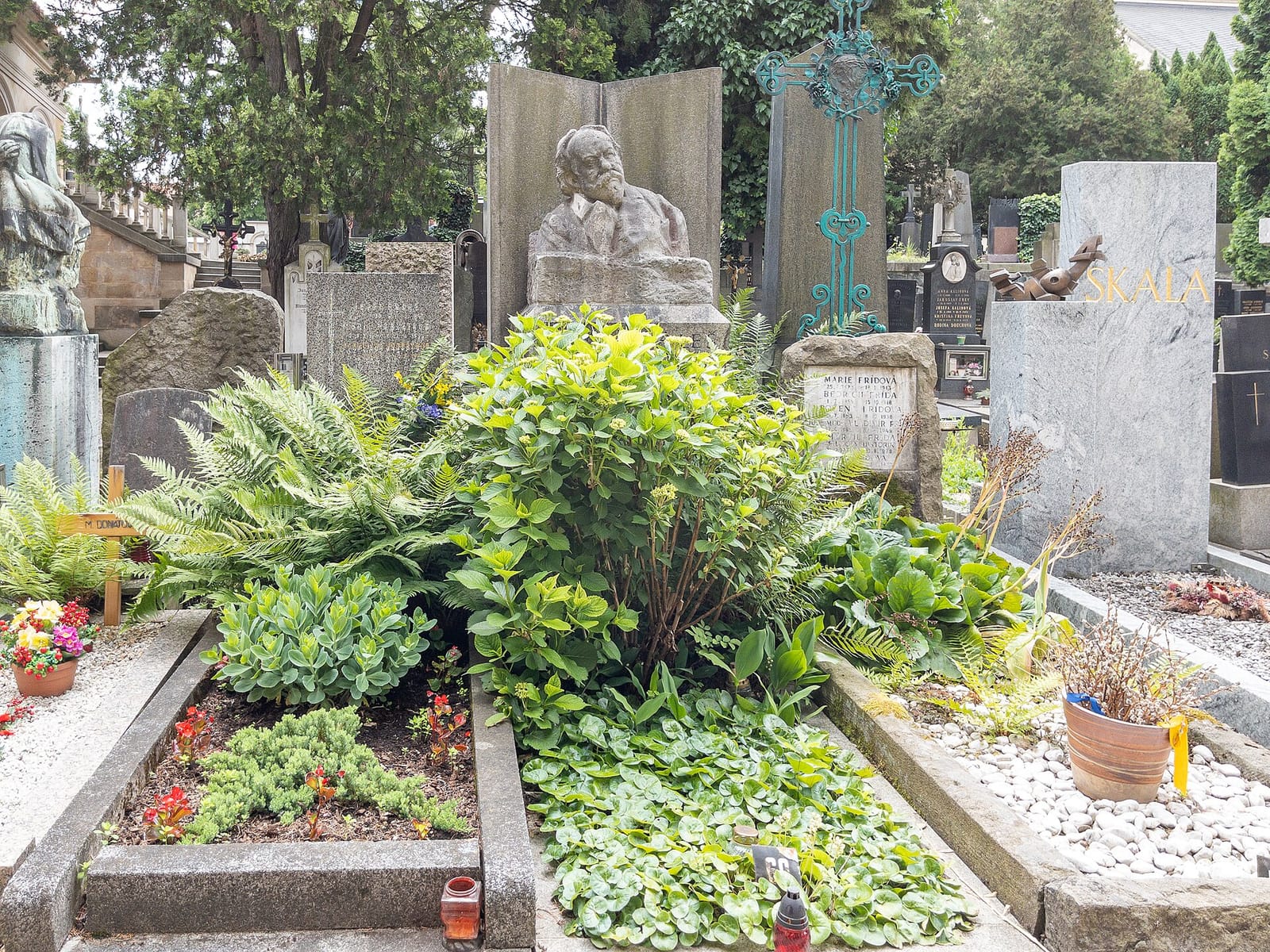 Kafesha photo 3