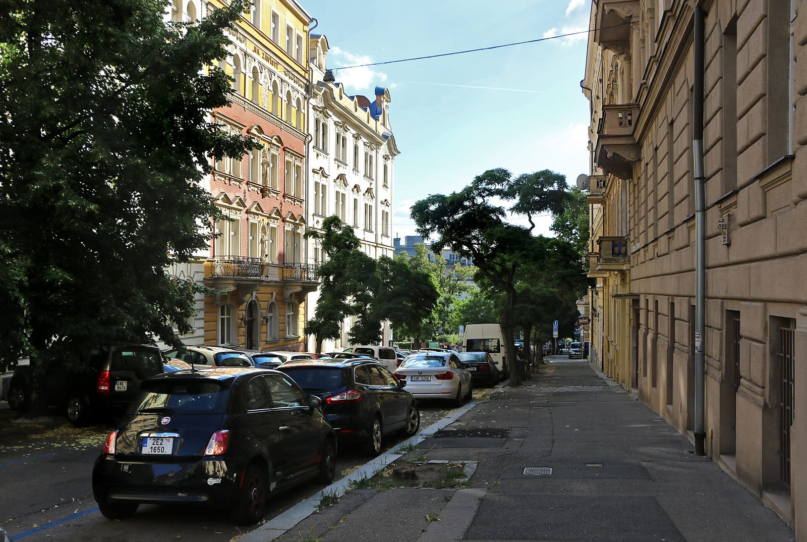 Oliveira photo 2
