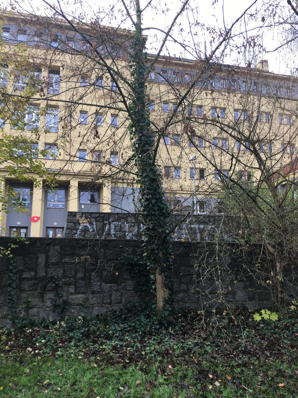 Kavárna Nová hra photo 2