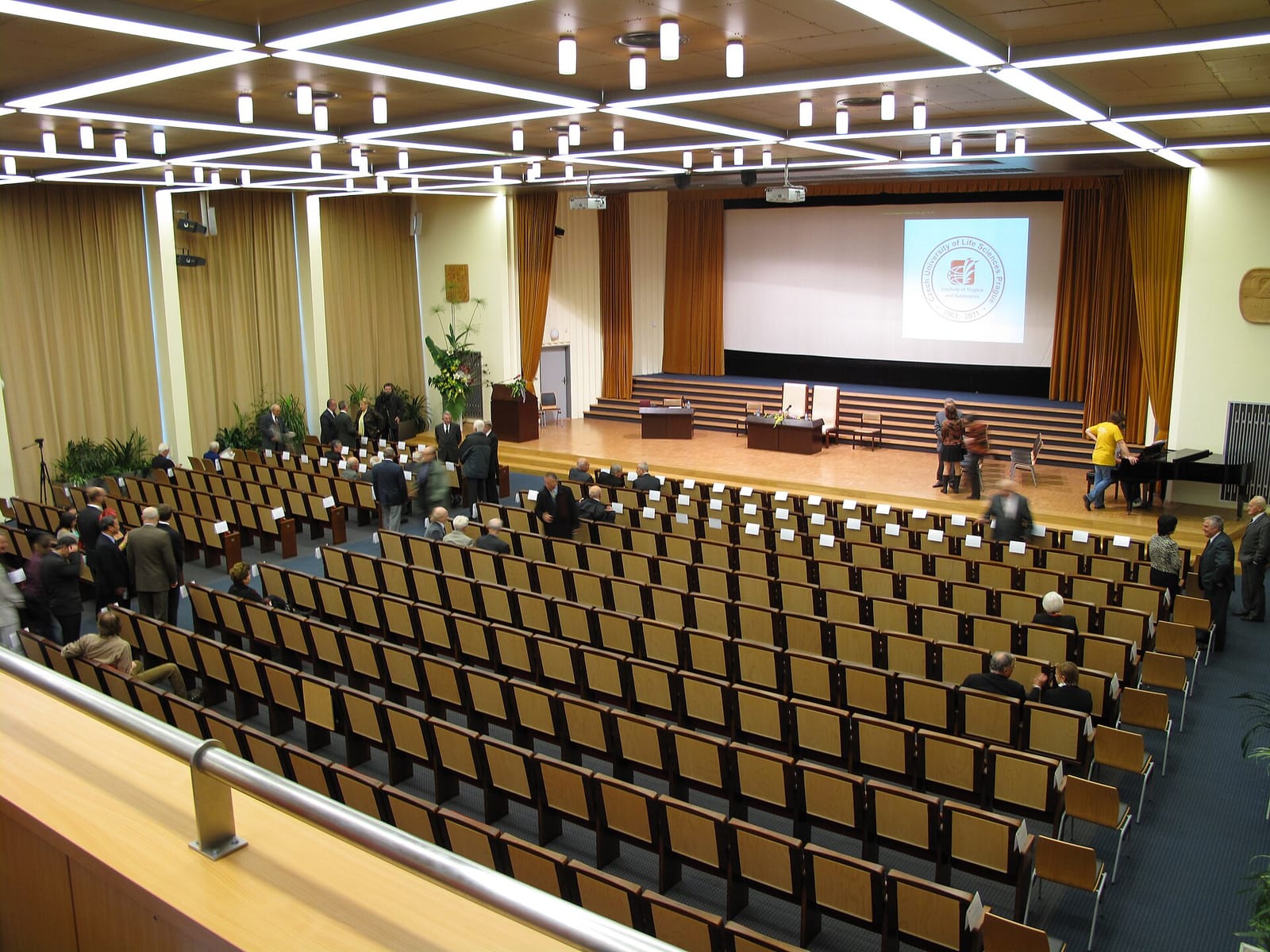 AULA . Cafe