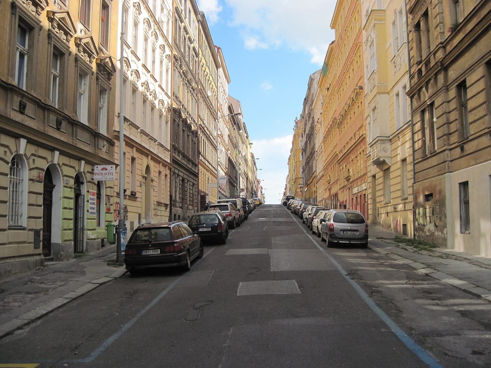 Živé kytky photo 3