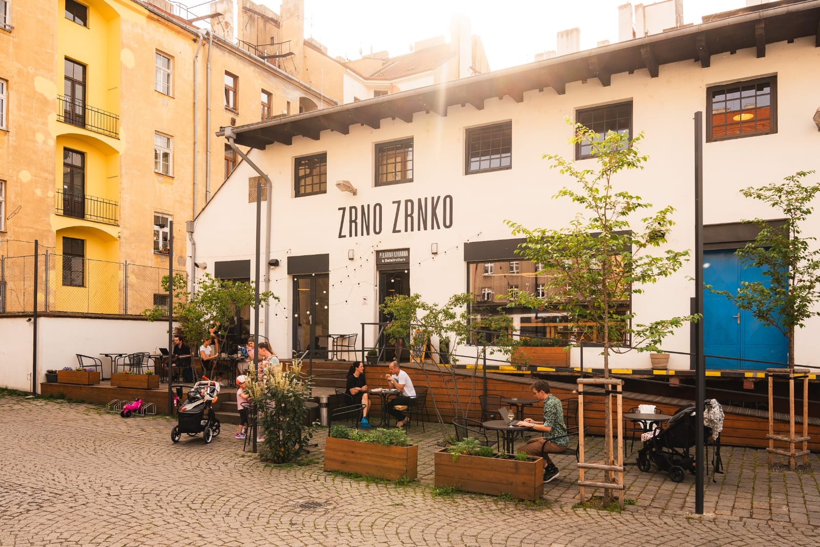 Zrno Zrnko photo 5