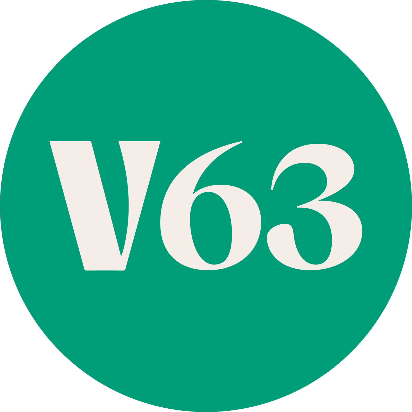Vila 63 photo 2