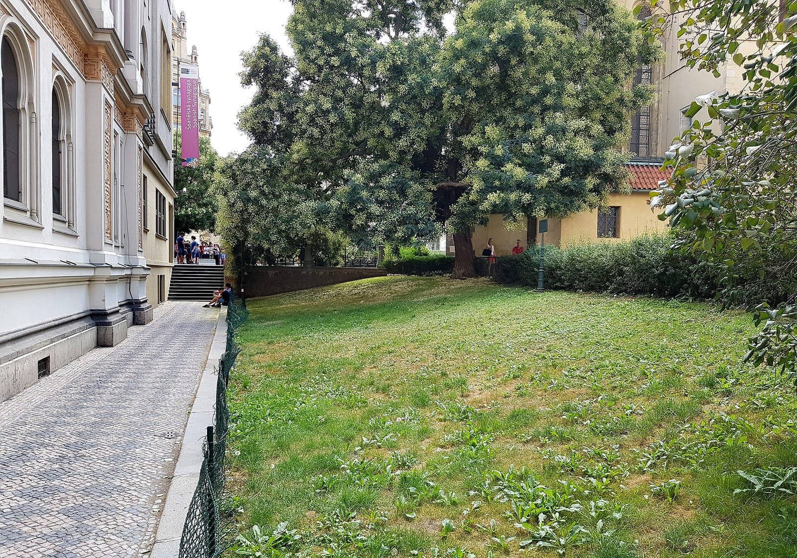 Venue photo 4