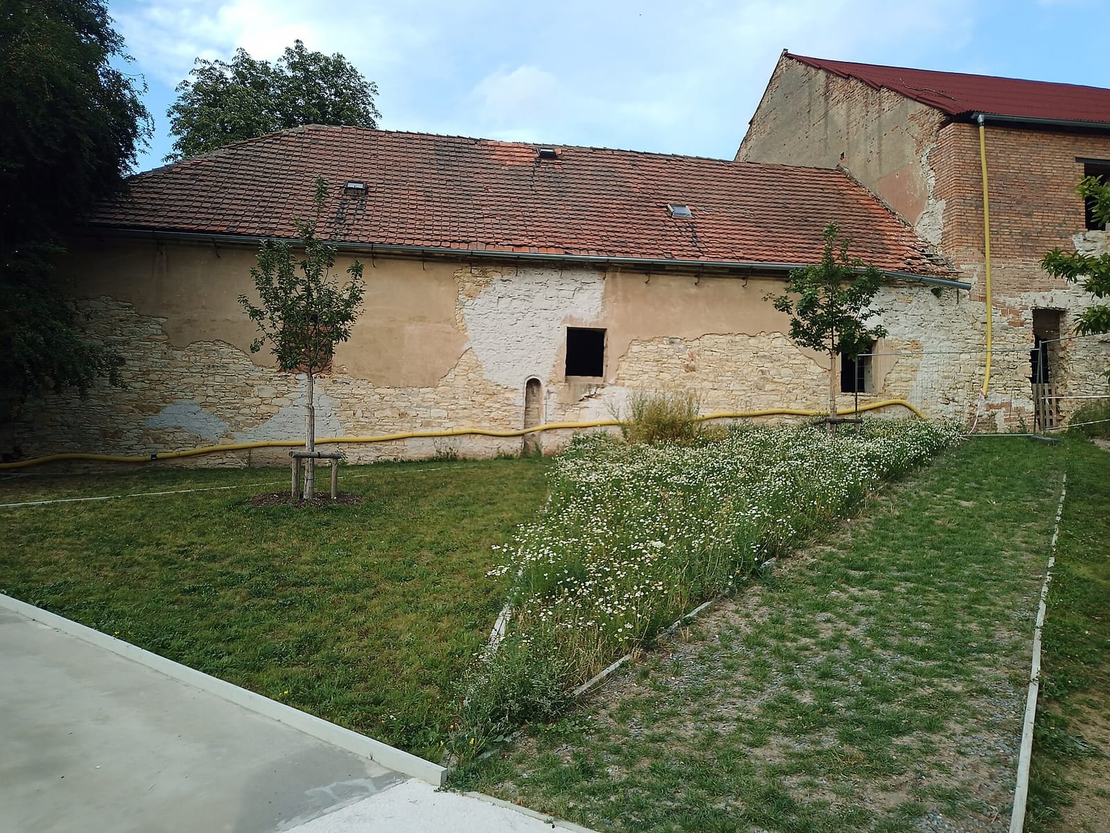 Café Cibulka photo 2