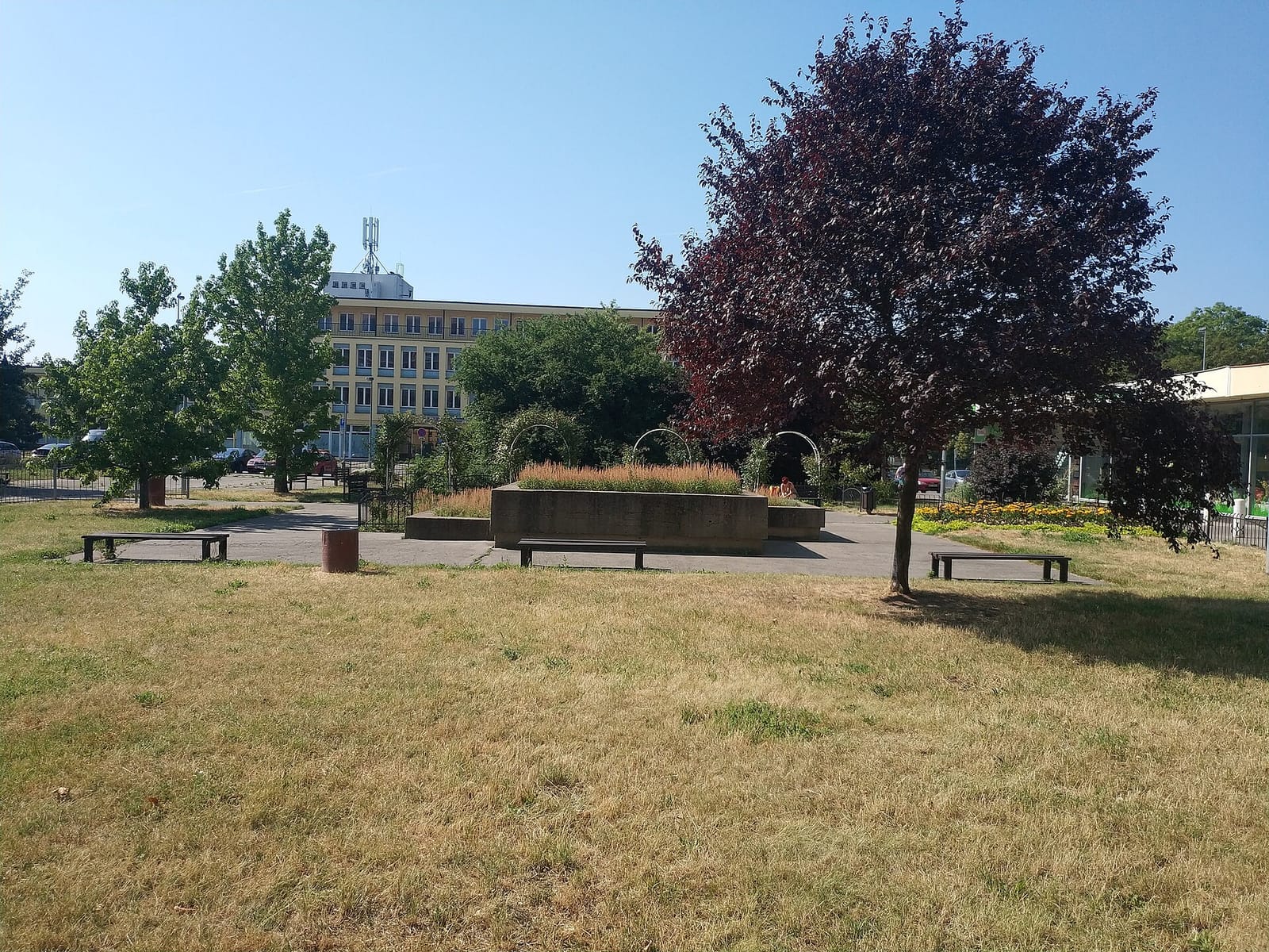 Kafe Květ photo 3