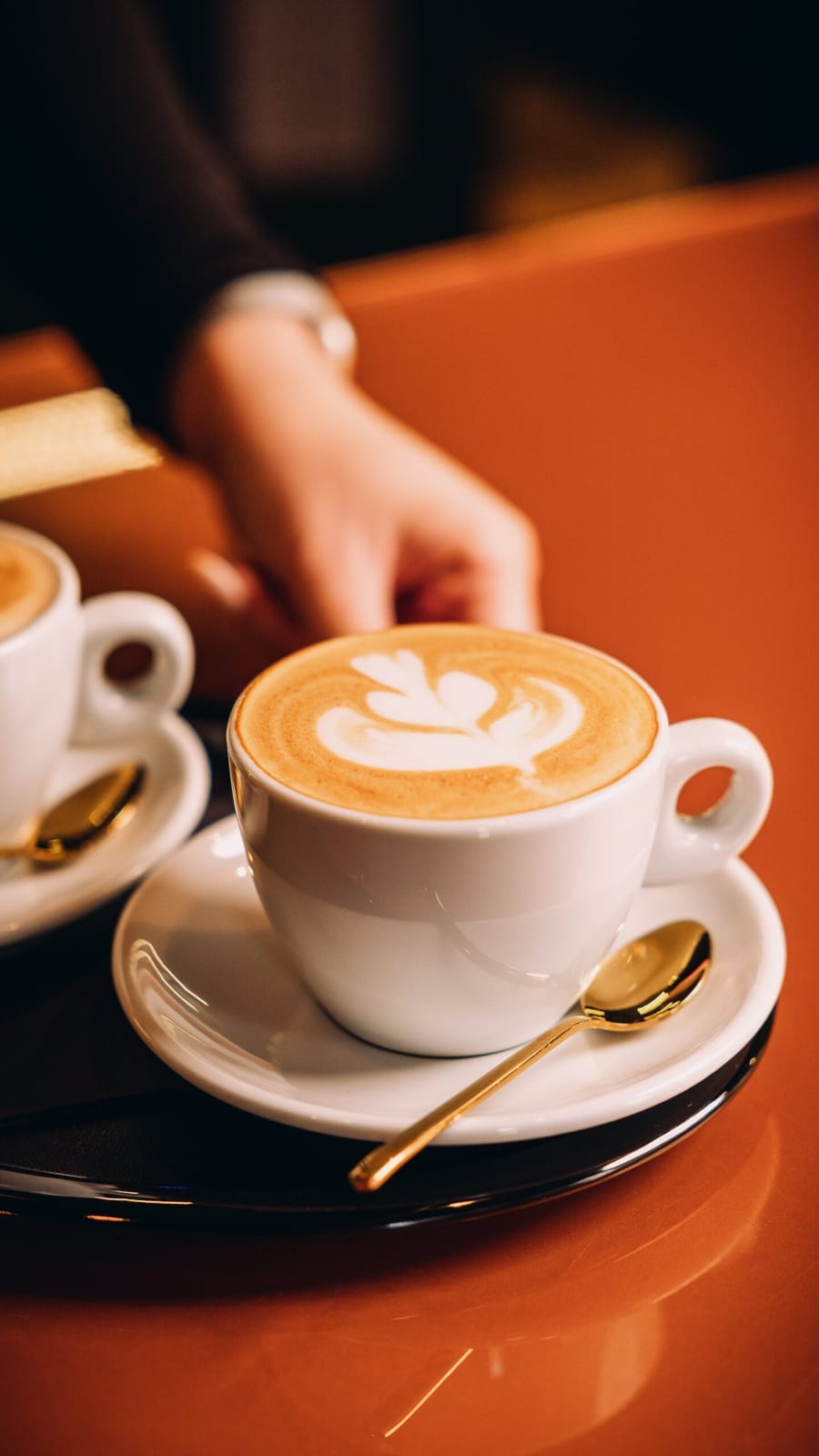 Cafe Dačický photo 8