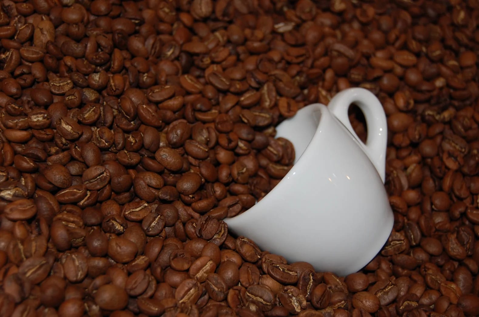 Café Music photo 2