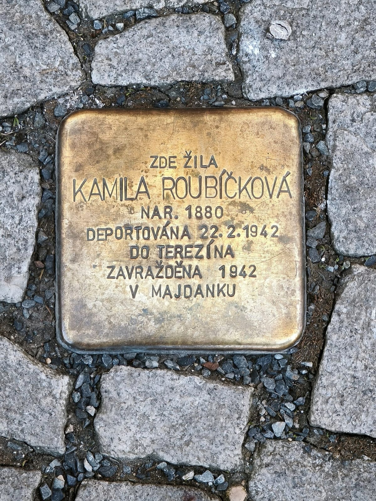 Budka.cafe photo 3