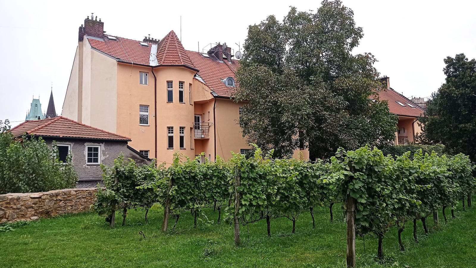 Vůně čaje a kávy
