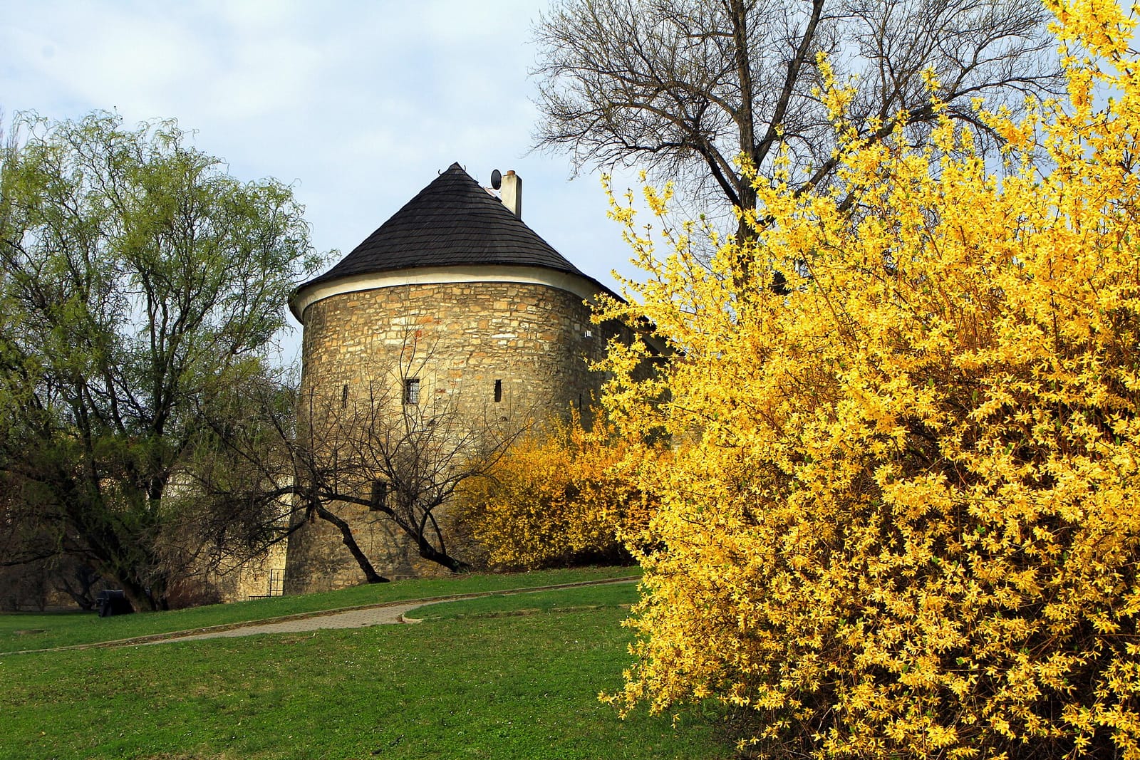 Kafe Stánek